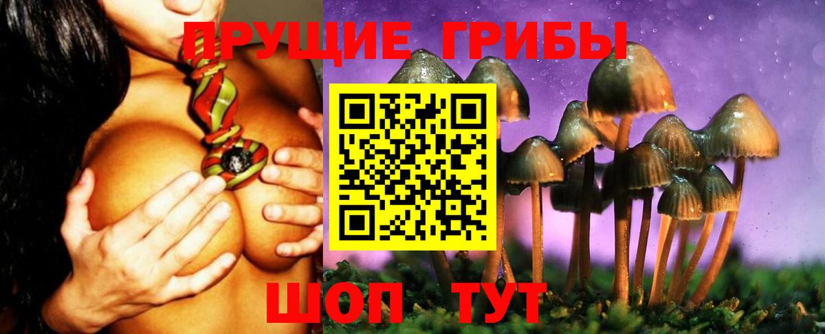 Псилоцибиновые грибы мухоморы Сертолово