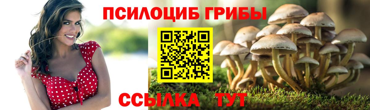 Галлюциногенные грибы MAGIC MUSHROOMS  Вход с VPN  Сертолово 
